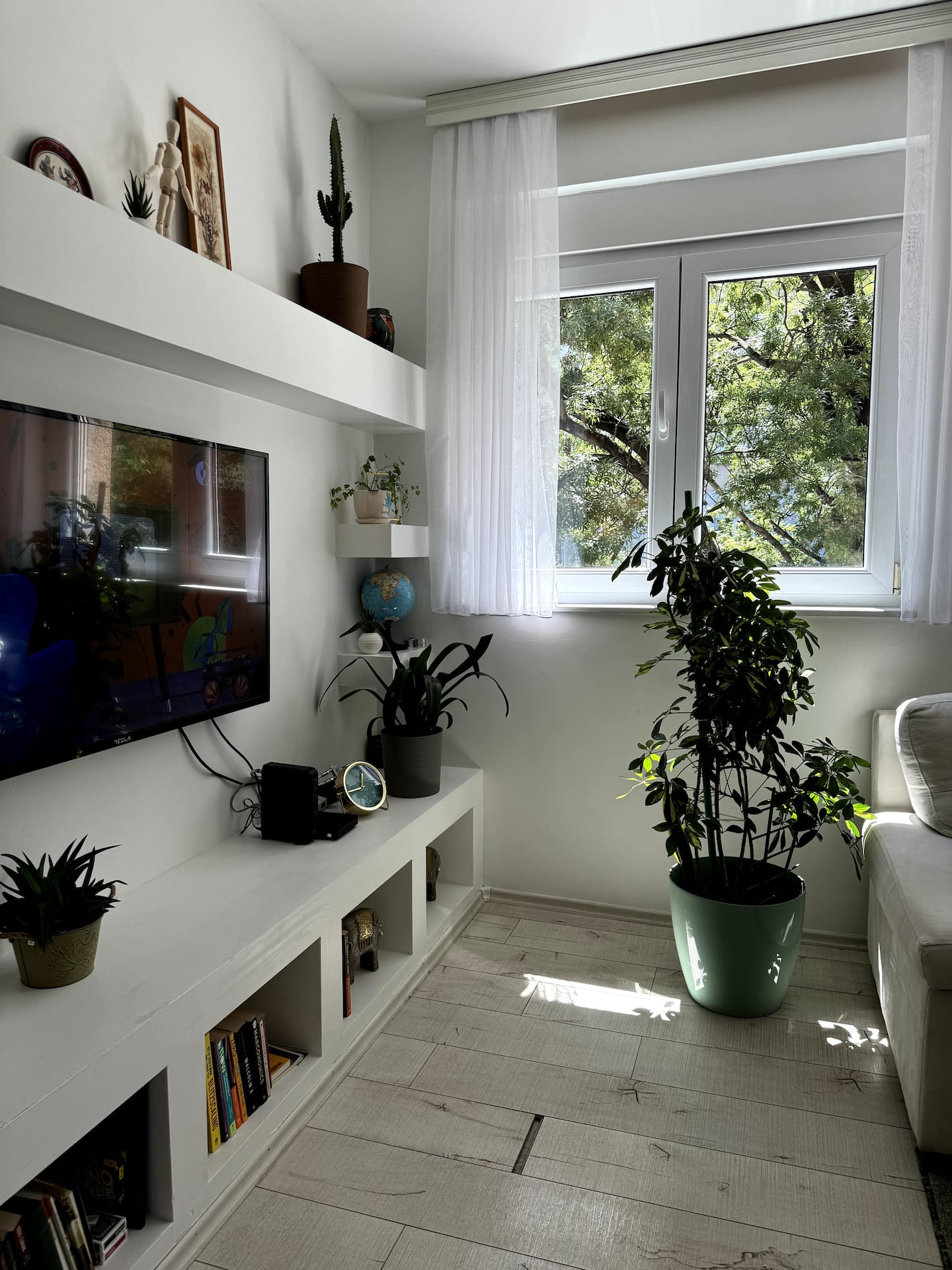 Cosy lounge corner with plants, a TV and lots of natural light